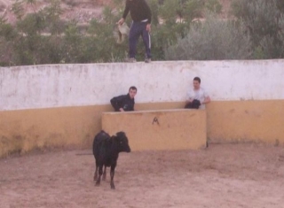 mirando desde la barrera